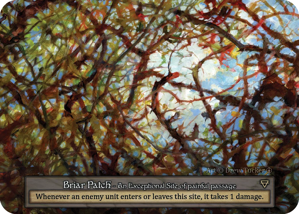 Briar Patch card image
