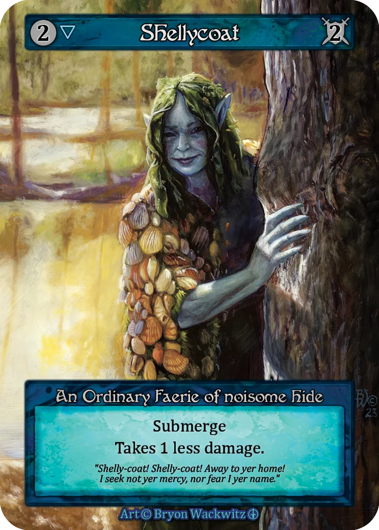 Shellycoat card image