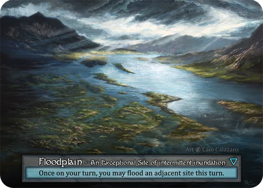 Floodplain card image