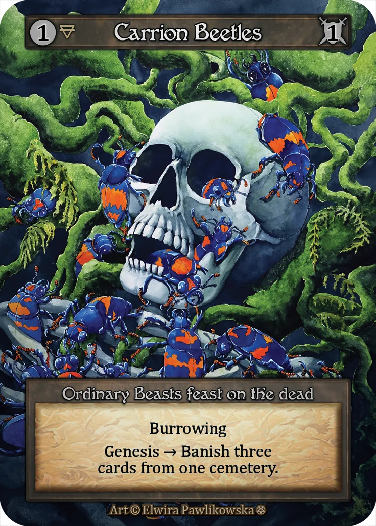 Carrion Beetles card image
